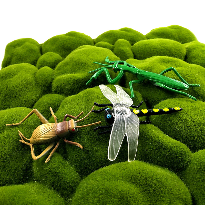 12pcs Insect Animal Model Drag - Home Improvement News ulasan dan harga
