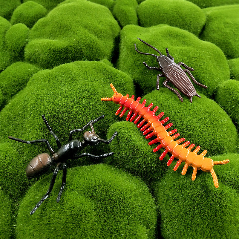 12pcs Insect Animal Model Drag - Home Improvement News ulasan dan harga
