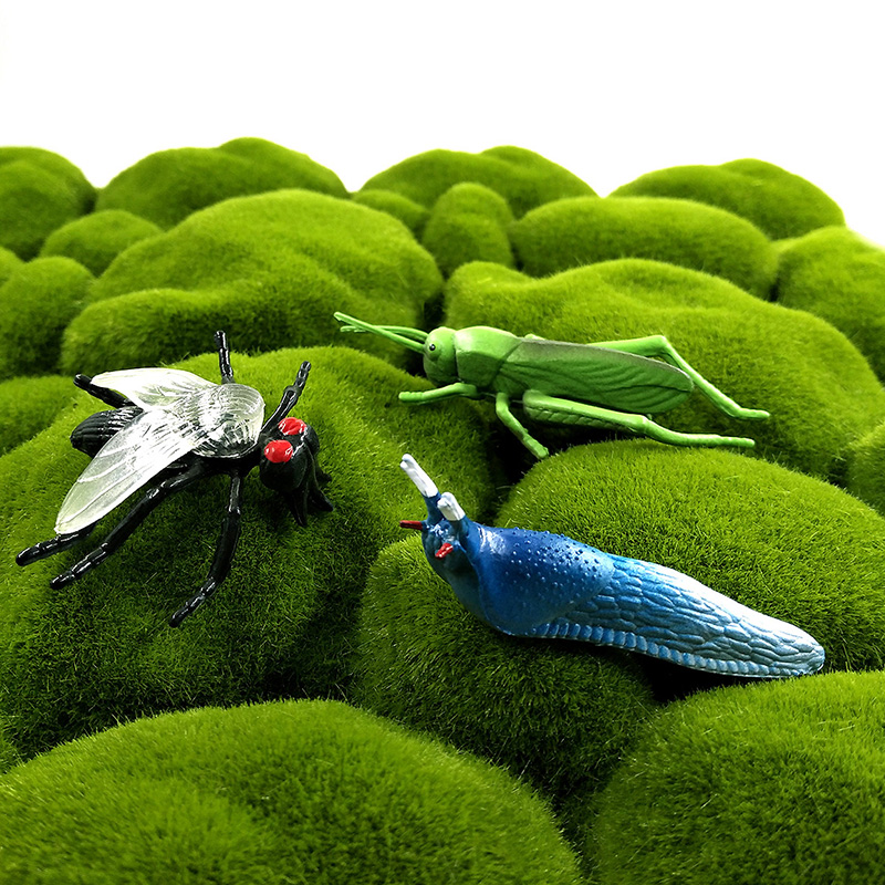 12pcs Insect Animal Model Drag - Home Improvement News ulasan dan harga